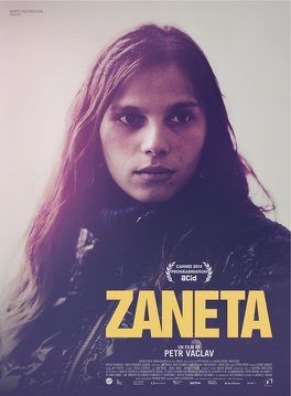 Affiche du film Zaneta