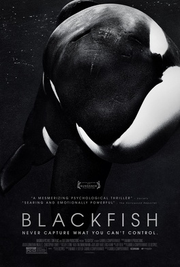 Affiche du film Blackfish
