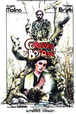 Affiche du film Le Coeur De La Forêt