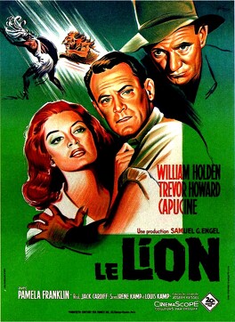 Affiche du film Le lion