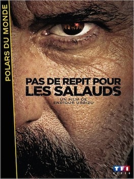 Affiche du film Pas De Répit Pour Les Salauds