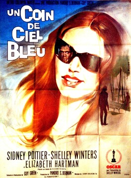 Affiche du film Un Coin De Ciel Bleu