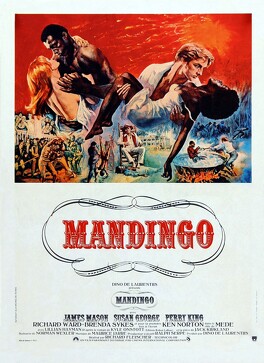 Affiche du film Mandingo