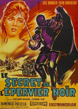 Affiche du film Le Secret De L'Epervier Noir