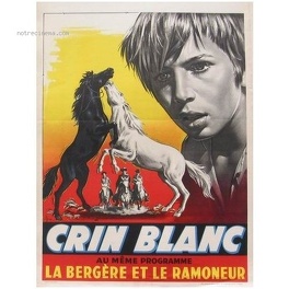 Affiche du film Crin-blanc
