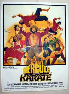 Affiche du film Hercule contre karaté